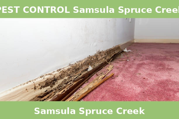 PEST CONTROL Samsula Spruce Creek
